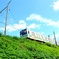 線路沿いを歩く