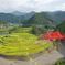 あらぎ島～彼岸花を添えて～