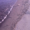 Coast in the evening