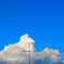 雲