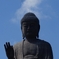 牛久大仏
