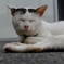 寝てんのか？起きてんのか！？