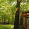 神社にて