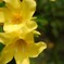 photo_598333