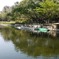 photo_598337