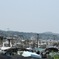 夏の漁港