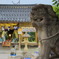 神楽