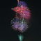 花火5