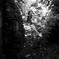塹壕-白黒03