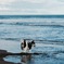 蒼い海が好き
