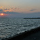 海