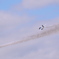 2016三沢航空祭4