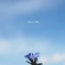 Blue in blue