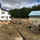 跡形も無いD型ハウス