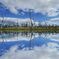 Mirror of nature