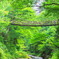 吊り橋渡れ。