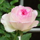 IMGP9634