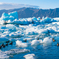 Swimming Duck in Glacier