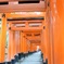 千本鳥居