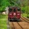 新緑のわたらせ渓谷鉄道。
