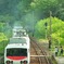 新緑のわたらせ。