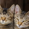 集合写真(ﾊﾟﾊﾟ欠席)　※200枚目♪