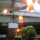 DVC00045