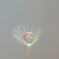 綿毛。。。虹を掴む