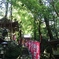雨上がりの龍蔵寺