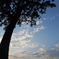 空