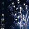 decorating Tokyo's summer night sky 