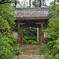 雨の龍潭寺3