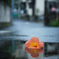 水たまりに堕つ
