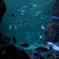 DSC02202