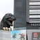 東京ゴジラ