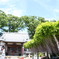 お寺と藤