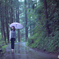 雨