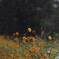 冷たい雨