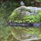 静かな朝