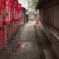 下町散歩_下谷神社
