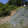 中央構造線北川露頭