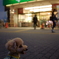 忠犬メロン