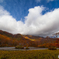 Autumn of the pond