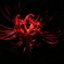 紅