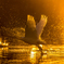 夕陽_D2H1589-Edit