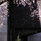 桜吹雪