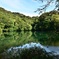 青森県の蔦沼