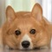ハァ…そんなにカメラおもしろい？