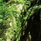 Blowin in the wind_025