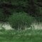 Blowin in the wind_029